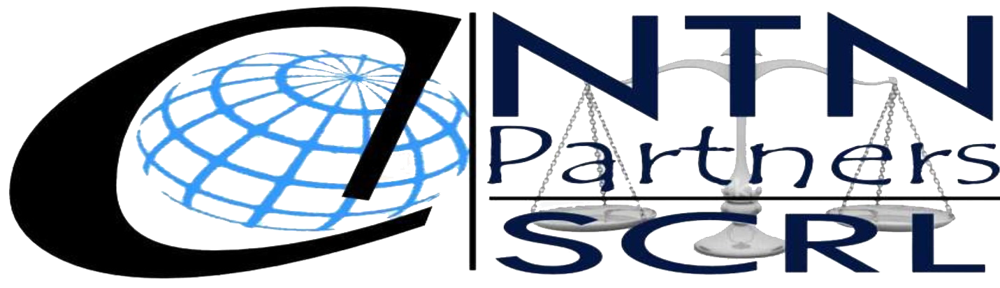 Logo NTN&PARTNERS